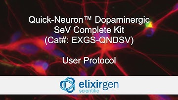 Protocol for Quick-Neuron Dopaminergic - SeV Complete Kit