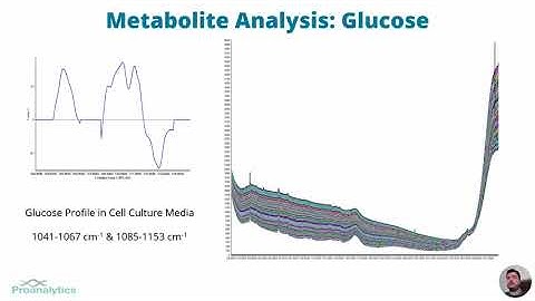 Mammalian Cell Culture - Raman as a Means of Monitoring & Controlling Upstream Bioprocesses