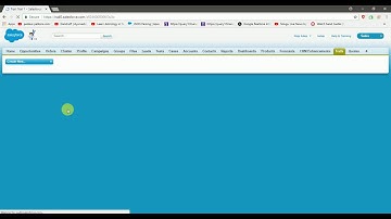 How a user has access to a private record in salesforce.