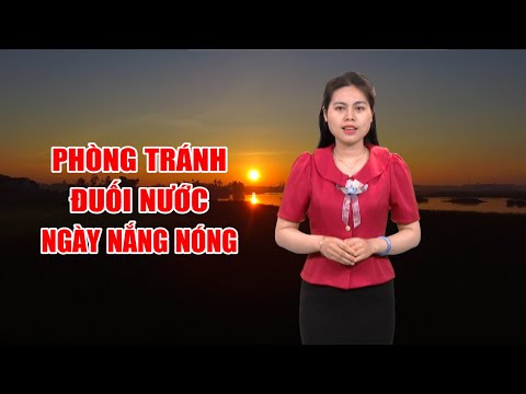 Bản tin thời tiết tối 19/3: Phòng tránh đu ố i nước ngày nắng nóng  | PTQ