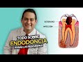 ENDODONCIA: TODO lo que necesitas saber sobre los tratamientos de conductos o Root Canal.