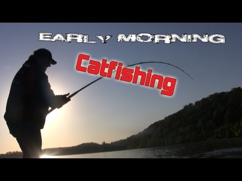 Video Discover catfishing