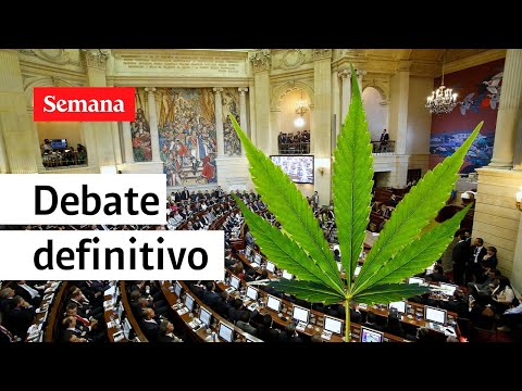 Atención: Senado hunde nuevamente el cannabis de uso adulto en Colombia