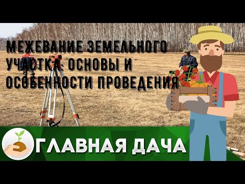 Межевание земельного участка: основы и особенности проведения