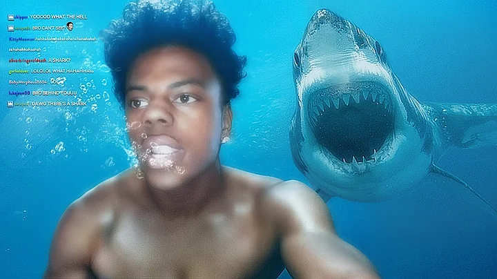 YouTubers That Were Almost KILLED