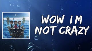 Wow, I'm Not Crazy (Lyrics) by AJR