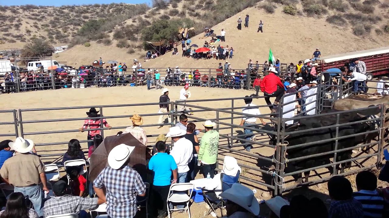 Jaripeo santa ana del valle 2013 en sta clarita ca YouTube