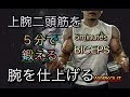 腕トレ！上腕二頭筋を５分で仕上げる[5minute Bicep Workout]