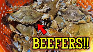 Maryland Recreational Crabbing so GOOD we RAN OUT OF BAIT!!