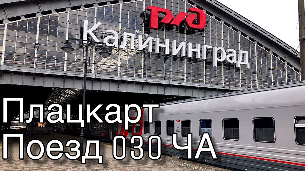 РЖД Москва Калининград янтарь. Поезд 147 Москва Калининград. Маршрут поезда янтарь Москва Калининград. Омск - Калининград на поезде. Поезд челябинск калининград 2024 год