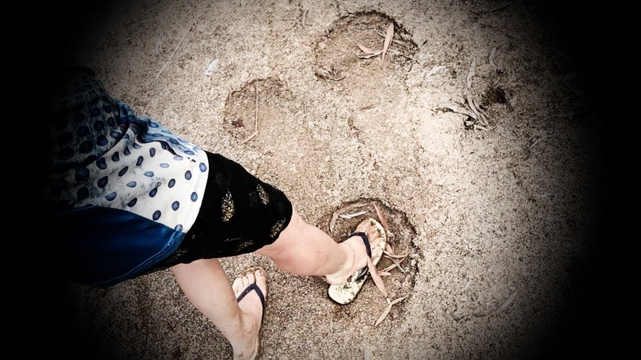 unexplained variance Giant footprints in north Queensland River! What are they!?
