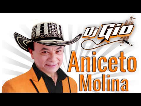 Aniceto Molina Sus