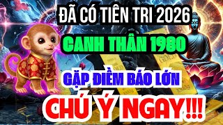S Tht ng Tri Ch Ti Dm Ni Canh Thn 1980 Nm 2026 Gp im Bo Ln Khng Nghe L Hi Hn