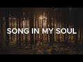 Song In My Soul ~ Phil Wickham (Lyrics ft.hollyn