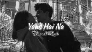 Yaad Hai Na (Slow   Reverb) [AD]