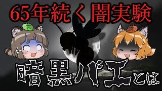 【ゆっくり解説】「暗黒バエ」65年間日本で続いている闇実験とは…