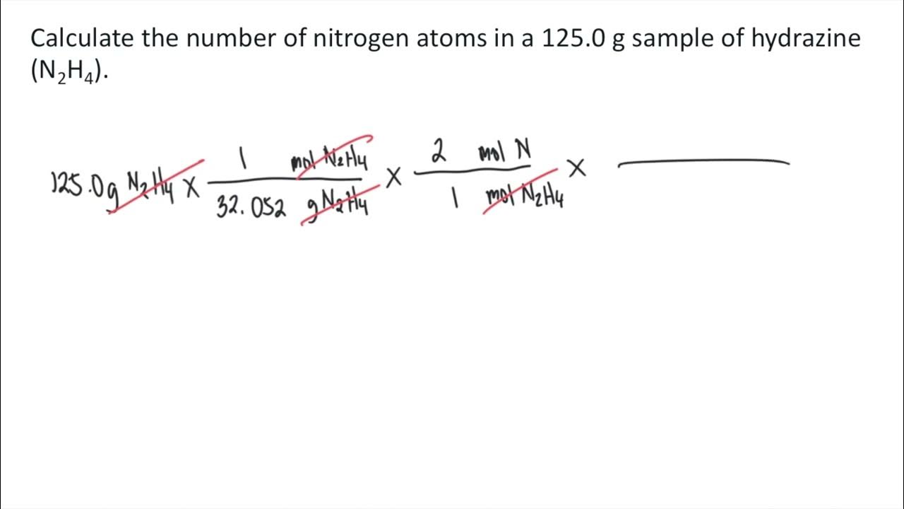Calculate the number of nitrogen atoms in a 125.0 g sample of hydrazine (N2H4) YouTube
