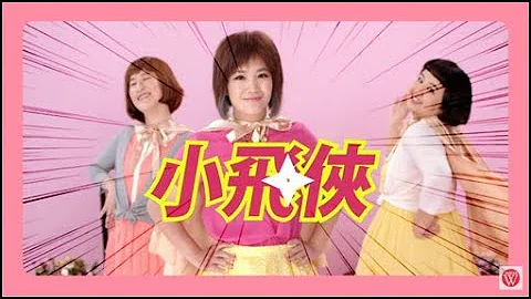 å°é£›ä¿ 