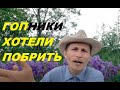 Зачем нужна борода и стоит ли брить бороду.