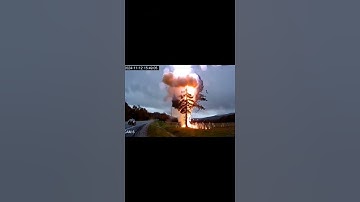 Lightning Strike Hits Tree! ⚡🌲 Caught On Camera#LightningStrike #CaughtOnCamera #TreeStrike