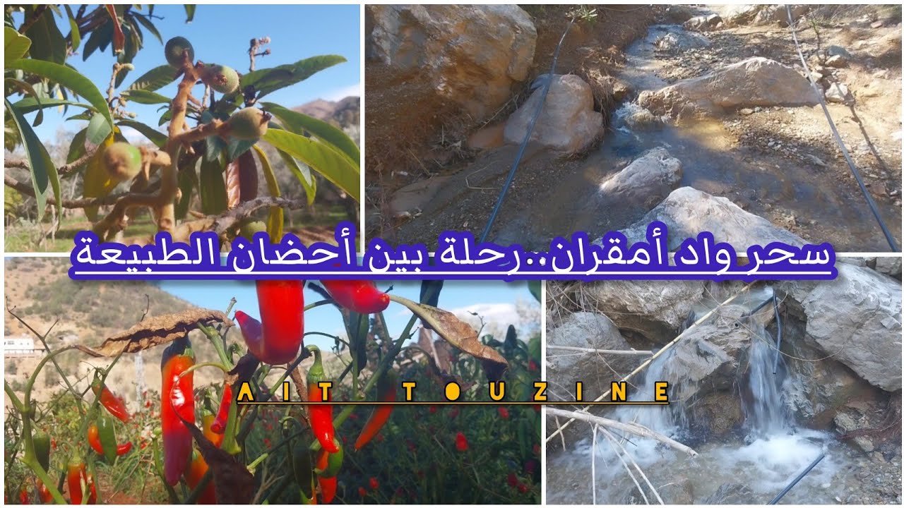 رحلة ساحرة على طول واد أمقران، مناظر طبيعية تخطف الأنفاس