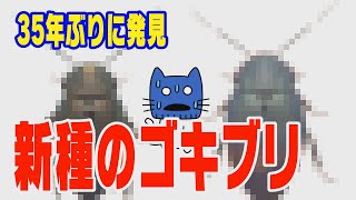 ゴキブリの新種！35年ぶりに2種類発見！！【マスクにゃんニュース】