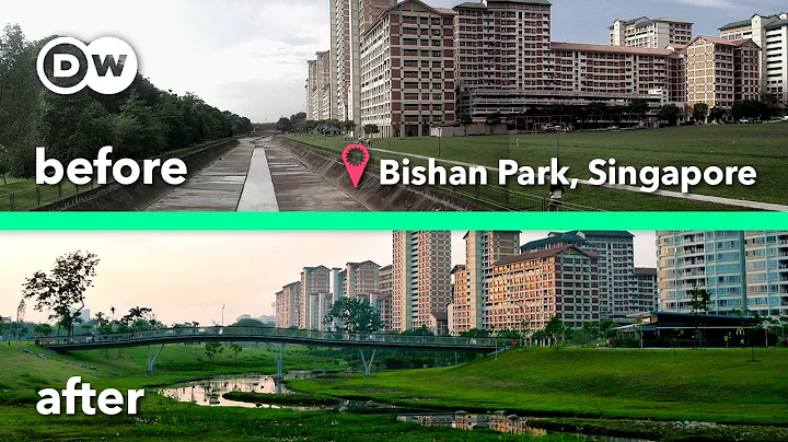 How your city could outsmart heat and floods