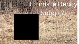 How to Setup your Turkey Decoys!! by Deadwood Rabbitry 11 views 1 year ago 2 minutes, 8 seconds