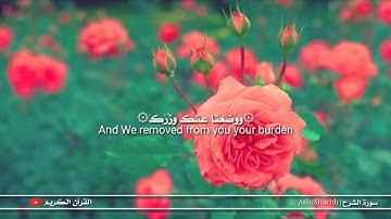 الم نشرح ڵـڱ صدرك | سورة الشرح | تلاوة هادئة | حالات وتساب دينية