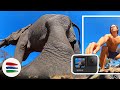 ELEPHANT SMASHES MY GOPRO! and Kids Summer Schoool Swim Lessons in Africa