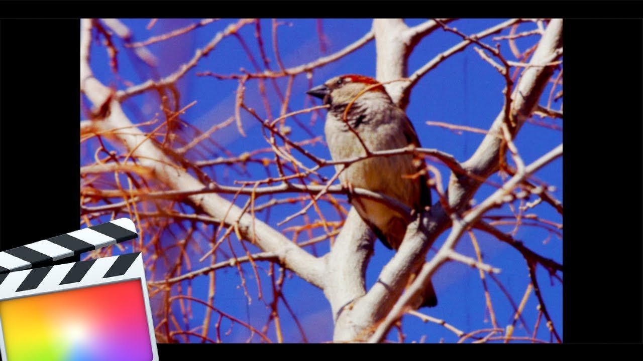 How To Create Super 8 (Vintage) Look In Final Cut Pro 10.4