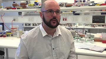 Five new melanoma risk gene regions identified