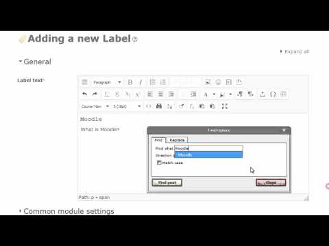 Moodle TinyMCE Text Editor Row 3