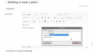Moodle TinyMCE Text Editor Row 3