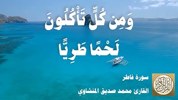 035 محمد صديق المنشاوي - سورة فاطر