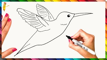 How To Draw A Hummingbird Step By Step - Hummingbird Drawing Easy