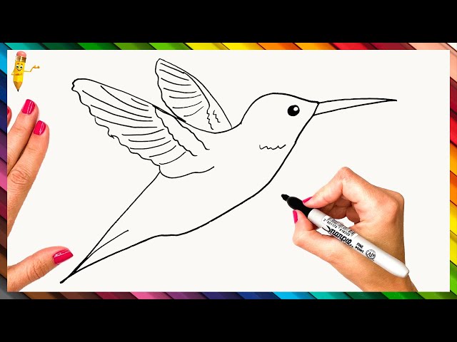 How to draw a hummingbird Bright Images Easy Painting