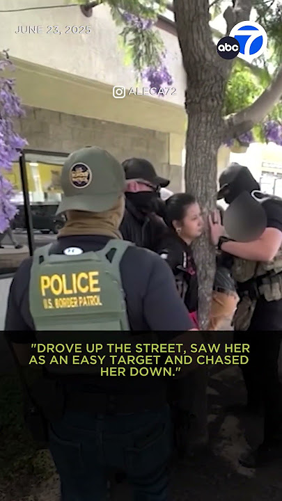 Bystanders try to help street vendor taken by ICE