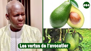 Ndiarignou Avocat Les Nombreuses Vertus De Lavocatier