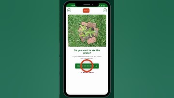 LittleTree Monitoring Tutorial