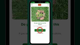 LittleTree Monitoring Tutorial screenshot 3