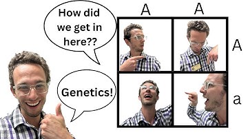 Genetics & Punnett Squares - EVERYTHING you need to know!