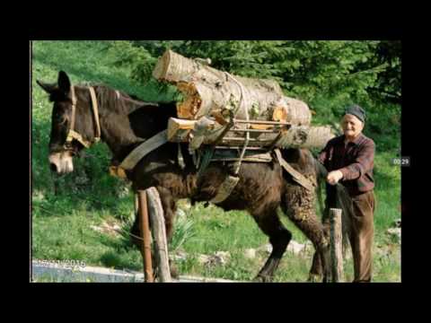 Patente B Urdu Italiano 2 Ep 86 C5
