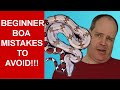 Don't Make These Beginner Pet Boa Constrictor Keeper Mistakes!