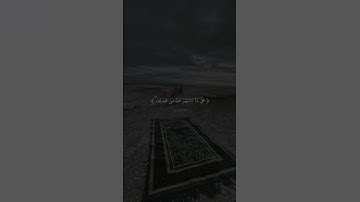 سورة النساء  | القارئ سعد الغامدي .