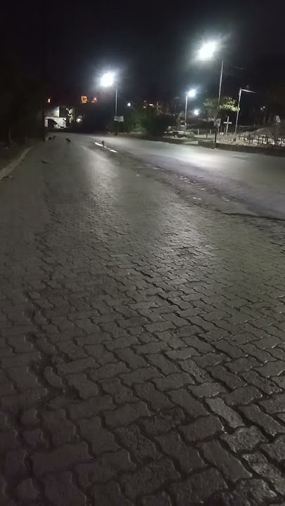 How To Write A Night Duty Report