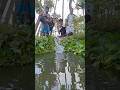 big fish #shortvideo #fishing #fish #short