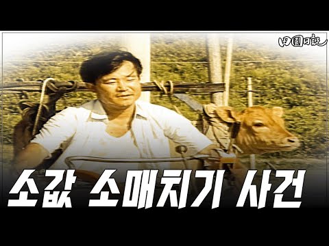 [#전원일기] 425화ㅣ소값 MBC 19890718 방송