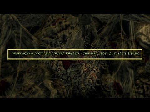 Video: Vai Pirmā Grēka Zinātnieks Padara Dark Souls 2 Vērts Atgriezties?