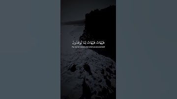 تلاوة تقشعر لها الأبدان 🥀 #اكسبلور #sleep #لايك #القران_الكريم #تلاوة_خاشعة #راحة_نفسية